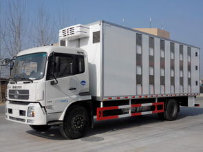 生豬調運專用車、仔豬運輸車及畜禽運輸車購買指南與價格分析